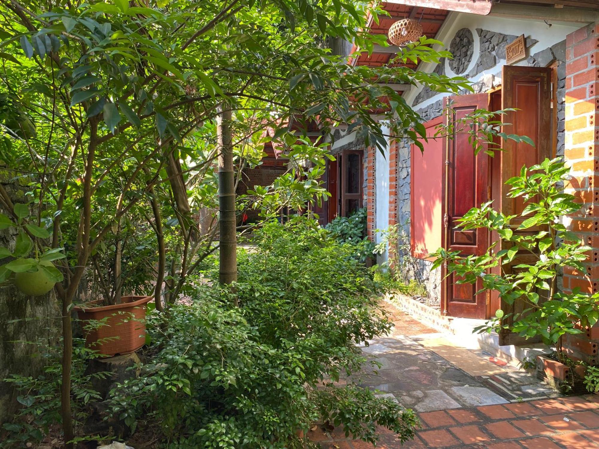 Tam Coc Ngo Dong Homestay Ninh Binh Exterior photo